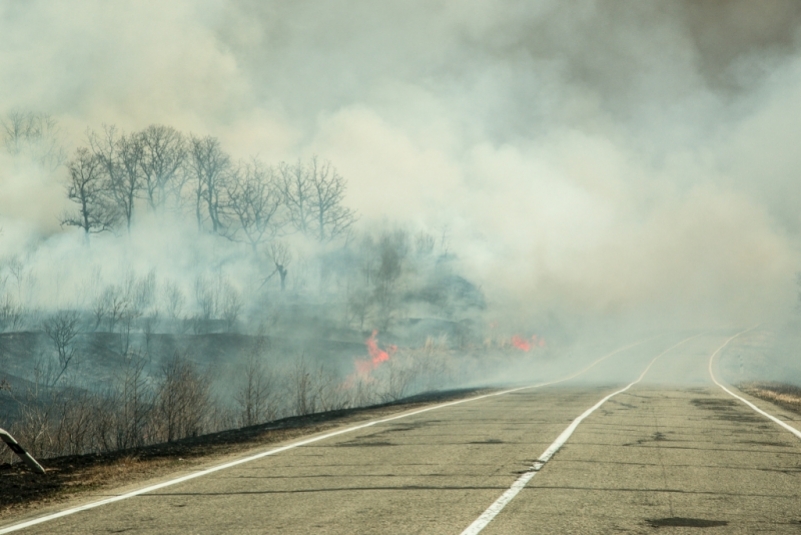 35 населенных пунктов в Иркутской области остаются в зоне задымления от лесных пожаров