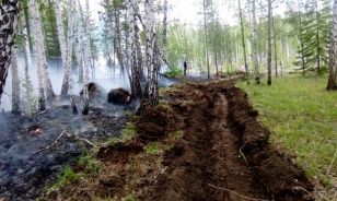 За минувшие сутки в лесном фонде в Иркутской области ликвидировано пять пожаров