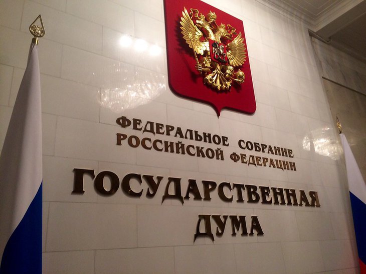 «Единая Россия» внесла в Госдуму законопроект о пожизненном лишении свободы для педофилов