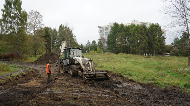 Дума Иркутска: основание под прогулочные дорожки обустраивают в дендропарке Академгородка