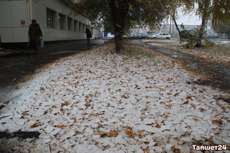 Дожди со снегом и заморозки обещают в Иркутской области