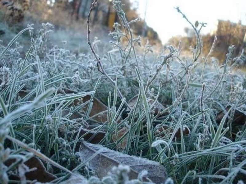 В МЧС предупреждают о заморозках по области и усилении ветра на Байкале в ближайшие дни