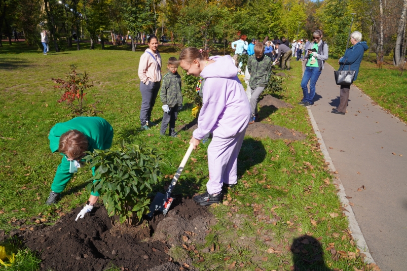 "Сад первоклассников": Сотрудники Сбера посадили деревья в Лисихинском парке в Иркутске