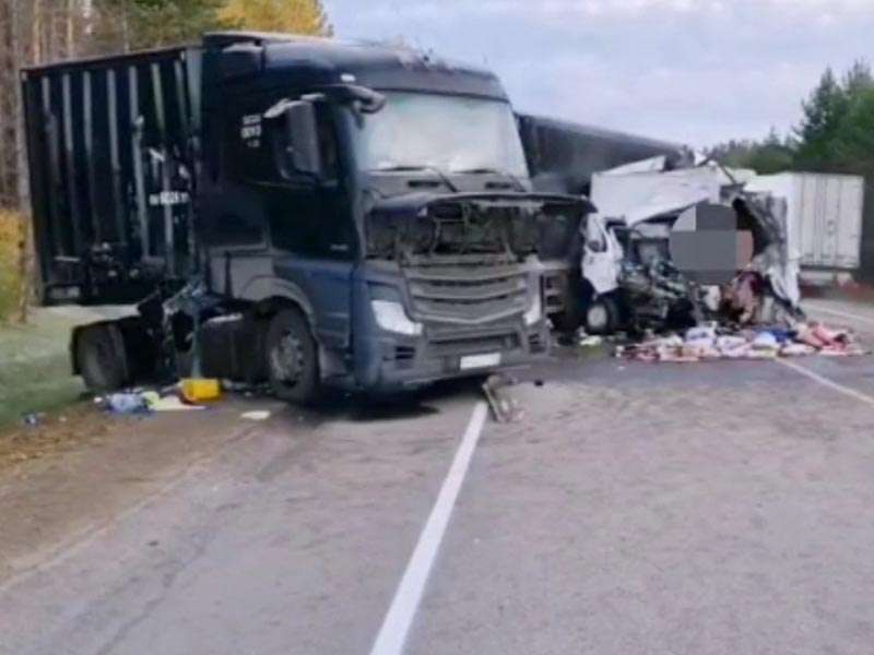 Водитель Isuzu погиб при столкновении с коровой и фурой на трассе в Заларинском районе