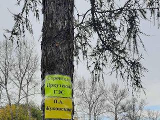 Противники строительства храма в Приморском расклеили имена строителей ГЭС на деревьях