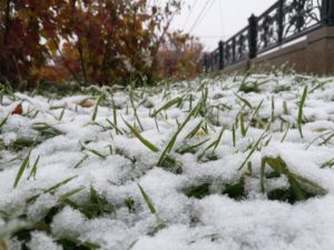 В Иркутске выпал первый снег