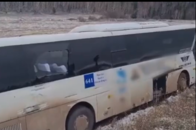 Рейсовый автобус попал в ДТП с большегрузом и коровами на трассе «Вилюй»