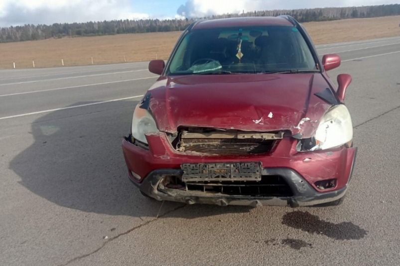 8-летняя пассажирка Nissan Expert пострадала в столкновении с Honda CR-V в Приангарье