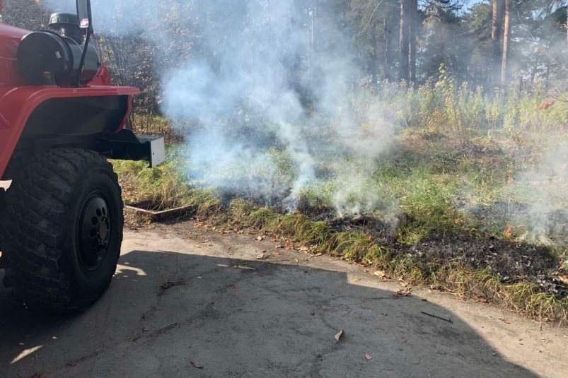 Более 8 тысяч га сухой травы сожгли в Иркутской области для профилактики лесных пожаров