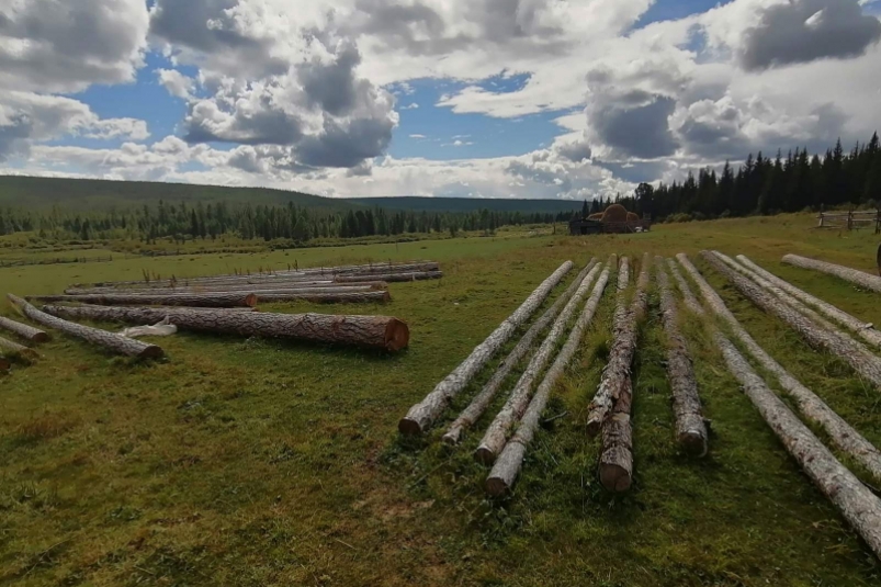 Мужчина незаконно вырубил деревья на 1,2 млн рублей в нерестоохранной зоне Приангарья