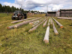 На жителя Качугского района завели уголовное дело за вырубку охранных деревьев для постройки дома