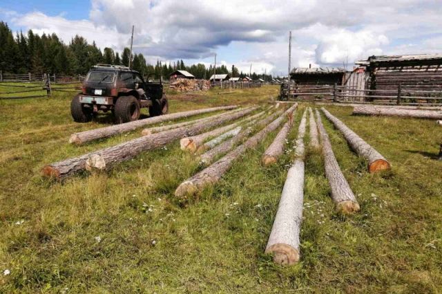 В Качугском районе мужчина вырубил 80 кубов леса на строительство дома