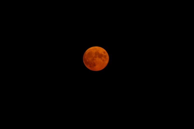 Кровавую луну увидели жители Иркутска вечером 20 октября