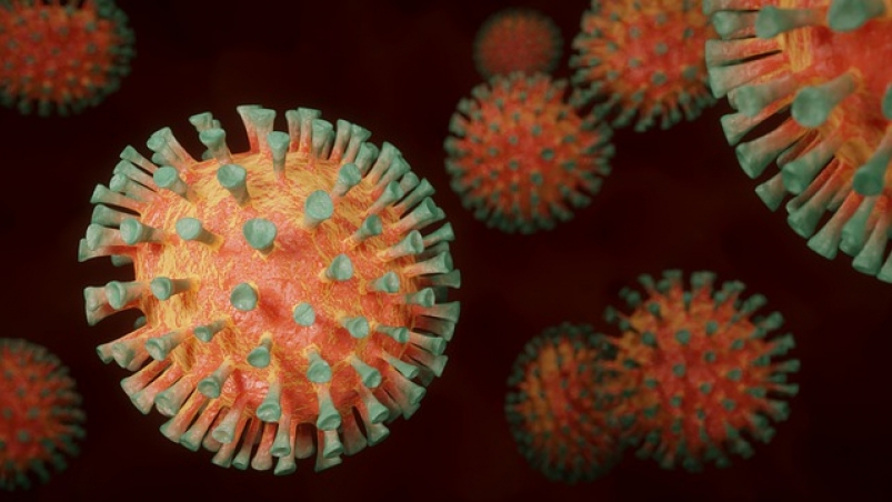 Вирусолог рассказал, каких новых вариантов коронавирусной инфекции можно ожидать