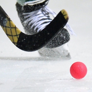 Иркутск примет чемпионат мира по хоккею с мячом в 2020 году