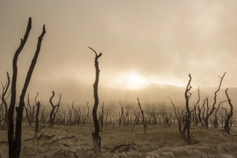 Засуха и проблемы с водой грозят России - прогноз климатологов