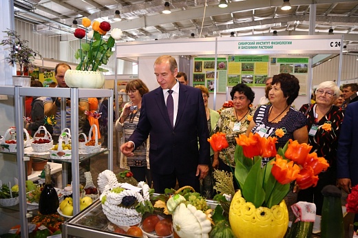 На развитие инфраструктуры садоводств Приангарья будут выделять до 10 млн рублей