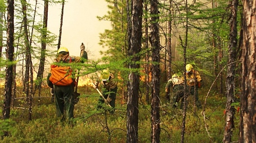 На шесть пожаров меньше стало в лесах Иркутской области