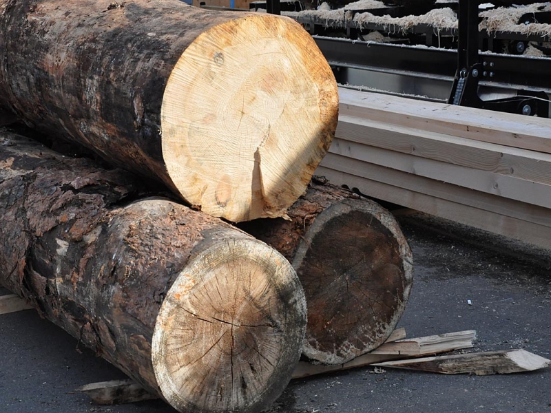 Работников лесхоза подозревают в незаконной вырубке леса на 1,2 млн рублей в Приангарье