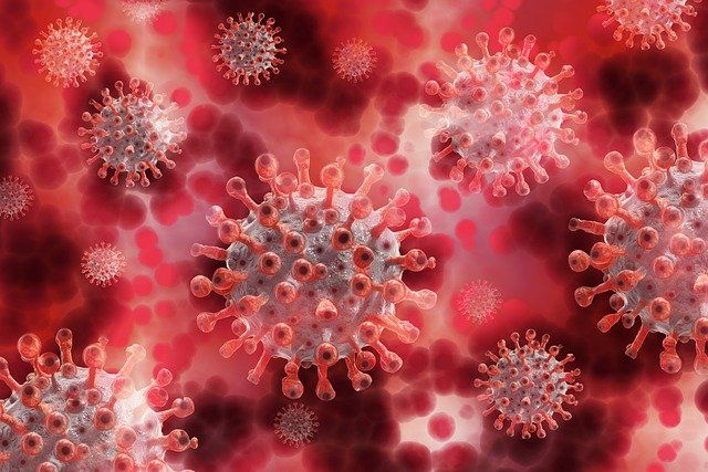 На 4 ноября в Приангарье заразилось коронавирусом более 124 тысяч человек