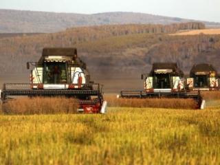 Кузьма Алдаров: На поддержку аграриев Иркутской области в 2022 году планируется направить около 330 млн рублей