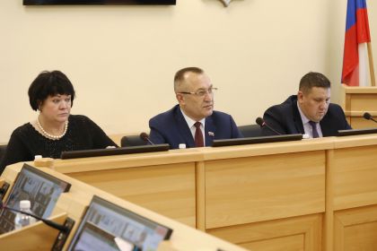 Комитет по собственности Законодательного Собрания Иркутской области поддержал проект закона о запрете продажи несовершеннолетним газовых баллончиков