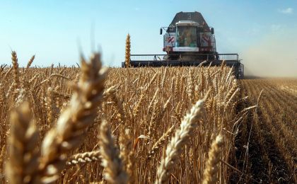 Аграрии Иркутской области собрали рекордный за четверть века урожай зерновых