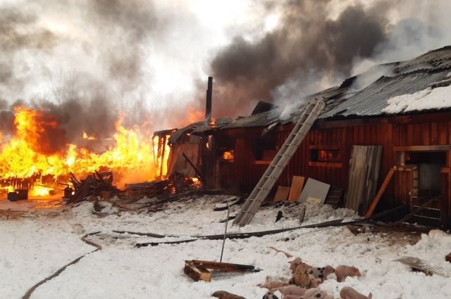 Деревянное здание свинофермы сгорело в Братском районе