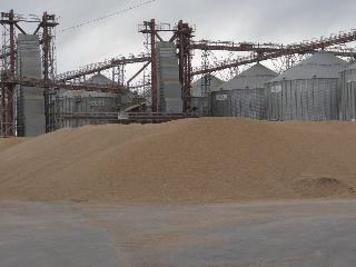 В Иркутской области сельхозпроизводителям впервые компенсируют затраты на производство и реализацию зерна