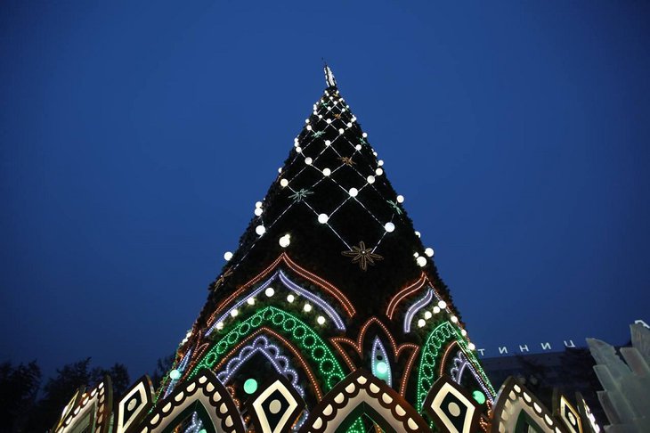 В сквере Кирова приступили к монтажу главной новогодней елки Иркутской области
