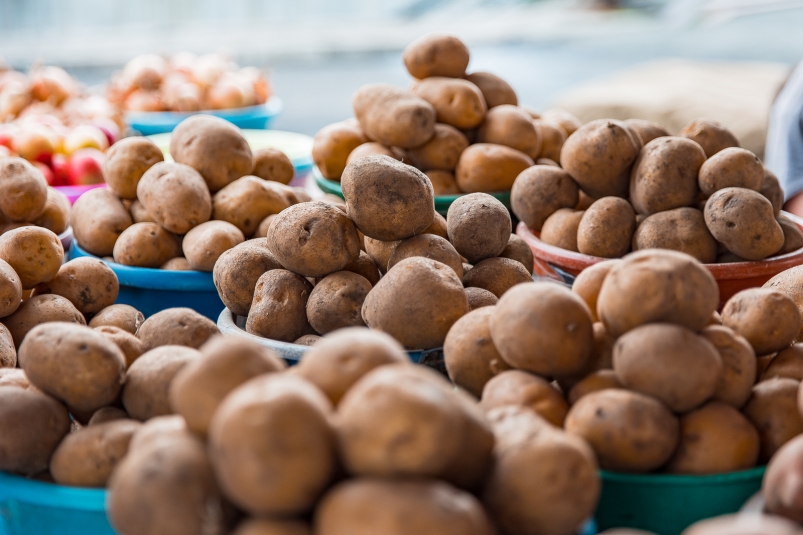 Дефицит картофеля весной 2022 года прогнозируют в России