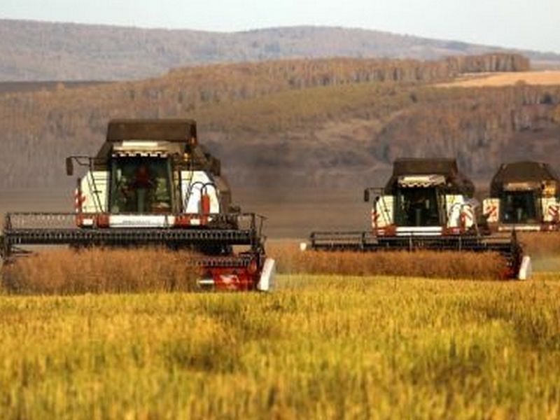 Финансовую поддержку аграриям гарантируют депутаты Заксобрания в Приангарье