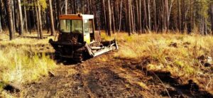 Пять лесных массивов Иркутска обезопасили от пожаров