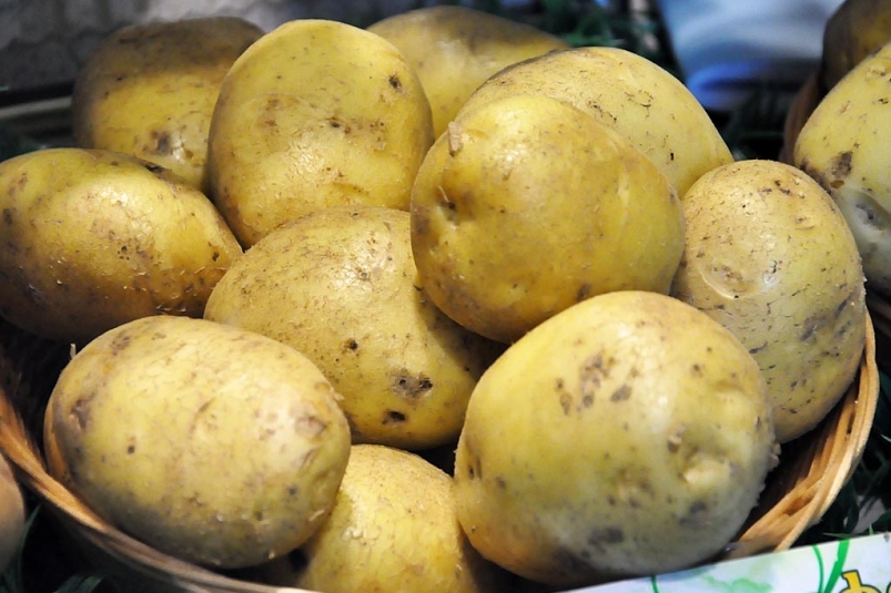 В Госдуме сообщили, почему Россия закупает картофель в Египте