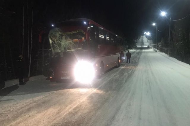 Рейсовый автобус столкнулся с лесовозом на трассе в Усть-Илимском районе