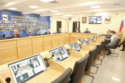 Комитет по здравоохранению и соцзащите Законодательного Собрания Иркутской области одобрил ряд социально значимых инициатив