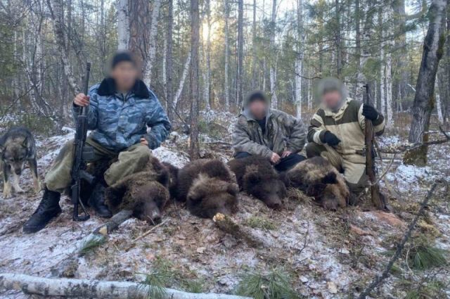 Подозреваемых в незаконной охоте на медведей задержали в Приангарье