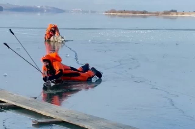 Спасатели вытащили на берег провалившегося под лед хаски в Иркутском районе