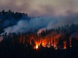 В Иркутской области собираются победить лесные пожары в 2022 году