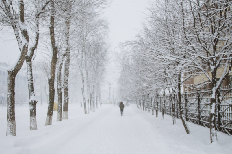 Снег и метели ожидаются в Иркутской области 8 декабря