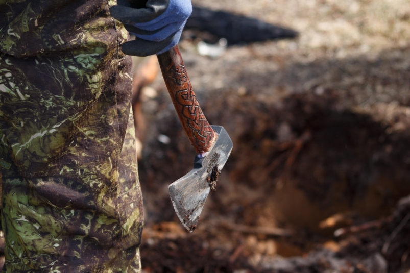 Черного лесоруба осудили в Приангарье за ущерб в 310 тысяч рублей