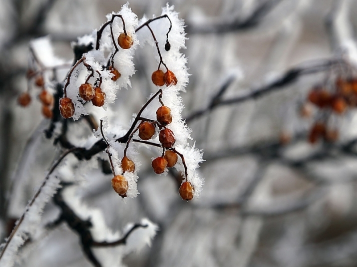 Метели и морозы до -51°С ожидаются местами в Иркутской области в ближайшие выходные дни