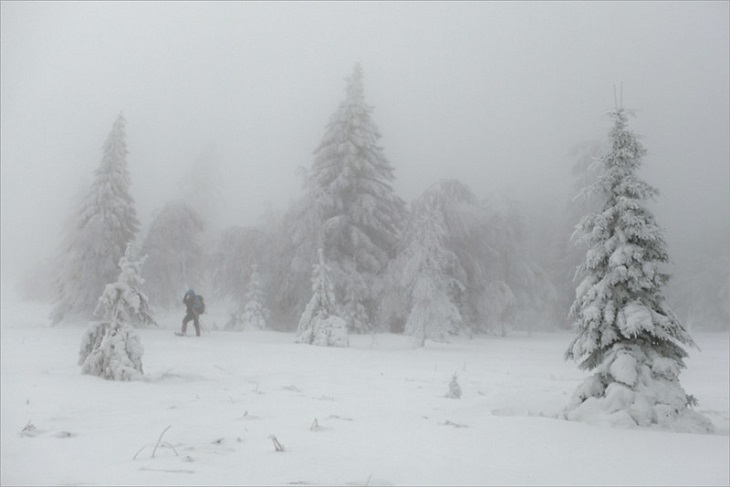 В Иркутской области 20 декабря ожидается снег и порывистый ветер до 17 метров в секунду