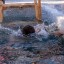 Массовые крещенские купания не будут проводить в Иркутске из-за пандемии