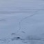 Пьяный молодой человек провалился под лед на Иркутском водохранилище ночью 12 января
