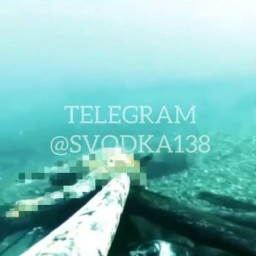 Человеческие останки обнаружил на глубине 6 м в Ангаре иркутский дайвер во время подводной охоты