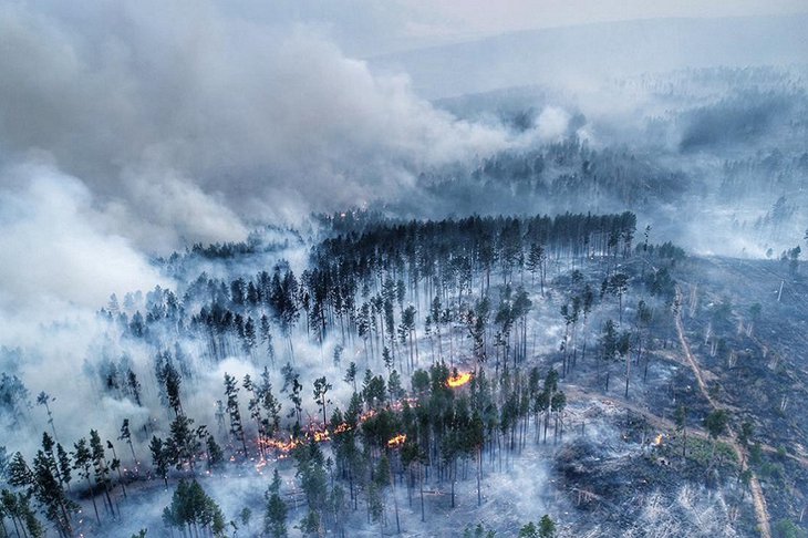 На тушение лесных пожаров в Иркутской области в 2022 году направят 1,5 миллиарда рублей