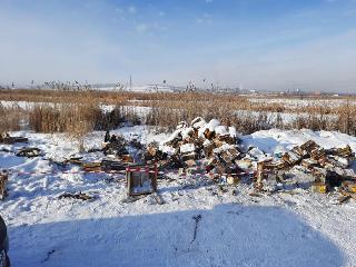 Опасные отходы вывезли из природного заказника "Птичья гавань" в Иркутске
