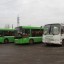 МУП "Иркутскавтотранс" получит 40 новых автобусов в 2022 году