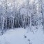 Небольшой снег пройдет в Иркутске во вторник
